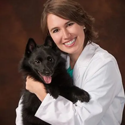 Dr. Jessica Cosentino, vet at Central Animal Hospital